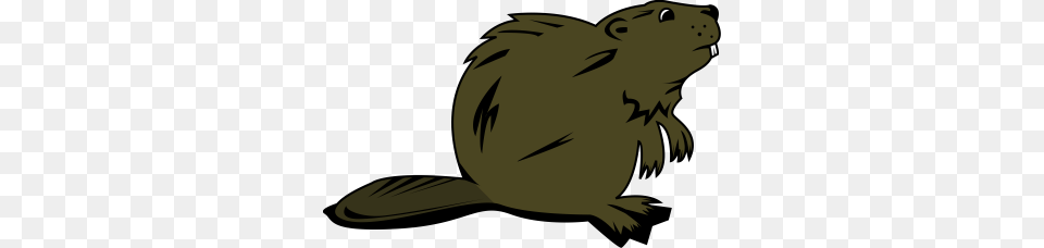 Beaver, Animal, Mammal, Rodent, Wildlife Free Png Download