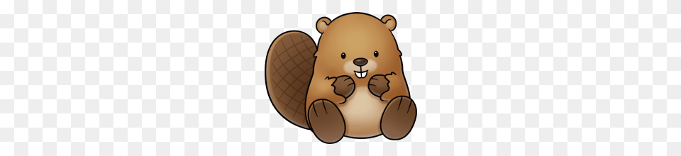 Beaver, Animal, Rodent, Mammal, Wildlife Free Png Download