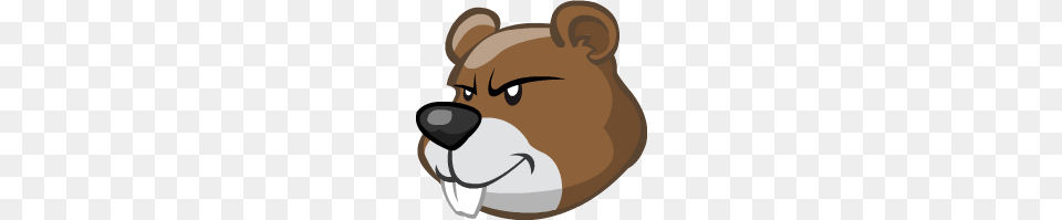 Beaver, Snout, Baby, Person, Animal Png Image
