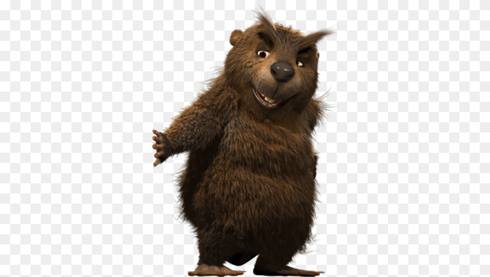 Beaver, Animal, Bear, Mammal, Wildlife Free Transparent Png