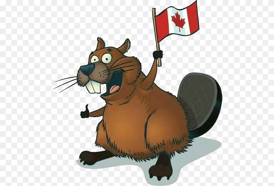 Beaver, Animal, Mammal Free Transparent Png