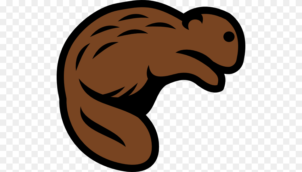 Beaver, Baby, Person, Animal, Face Png