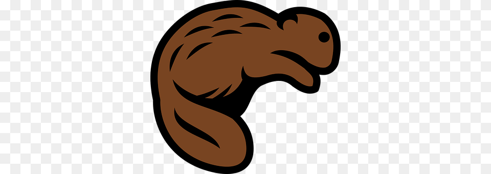 Beaver Animal, Fish, Sea Life, Shark Png Image