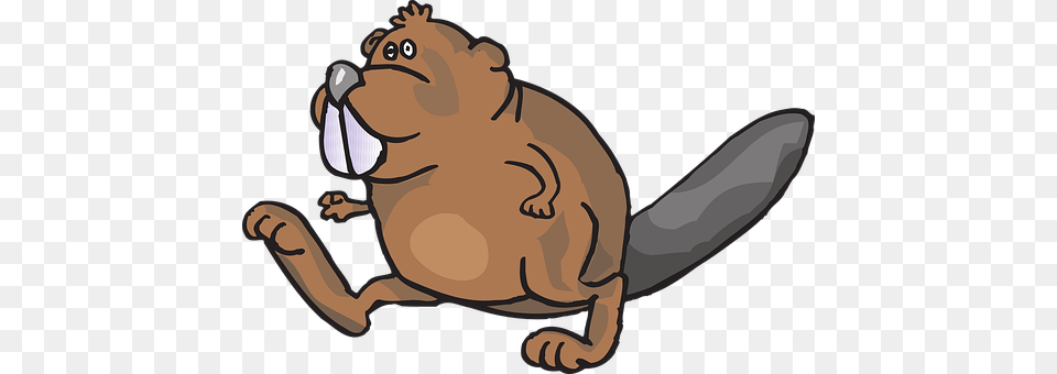 Beaver Animal, Mammal, Rodent, Wildlife Png