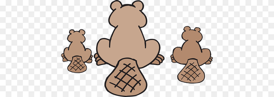 Beaver Animal, Bear, Mammal, Wildlife Png Image