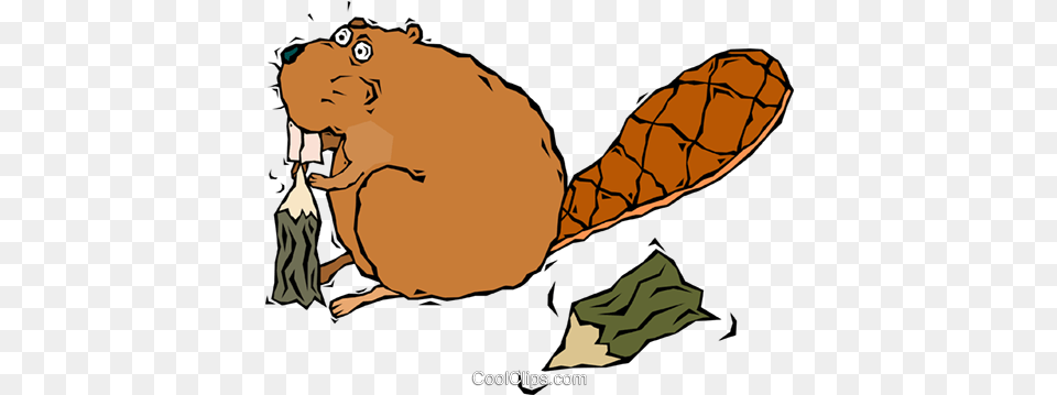 Beaver Chewing Beaver Gnawing Tree Cartoon, Animal, Mammal, Rodent, Wildlife Png Image
