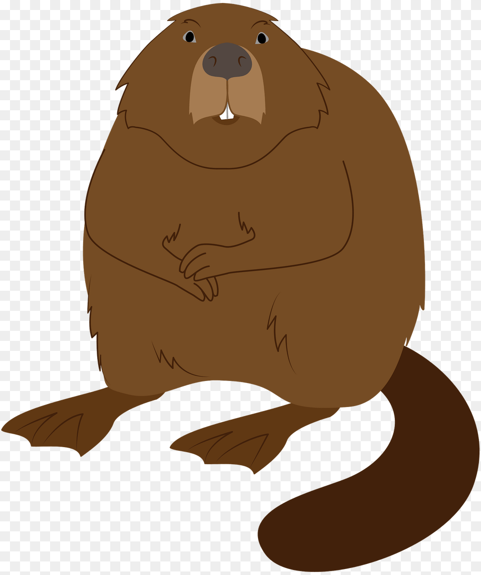 Beaver Clipart, Animal, Mammal, Rodent, Wildlife Free Transparent Png