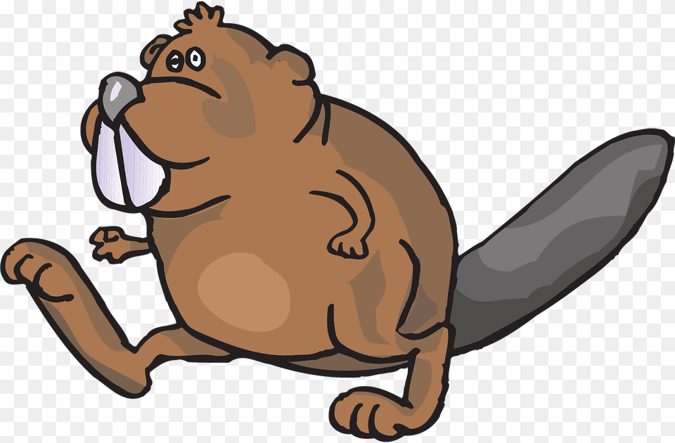 Beaver Clipart, Animal, Mammal, Rodent, Wildlife Free Png Download