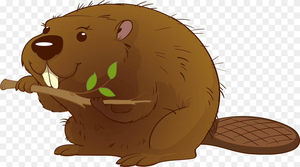 Beaver Clipart, Animal, Mammal, Rodent, Wildlife Png Image