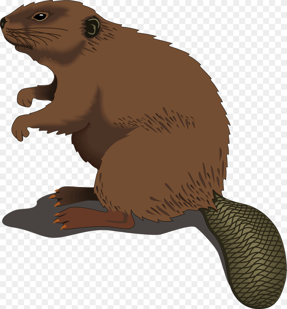 Beaver Clipart, Animal, Mammal, Rodent, Wildlife Free Png