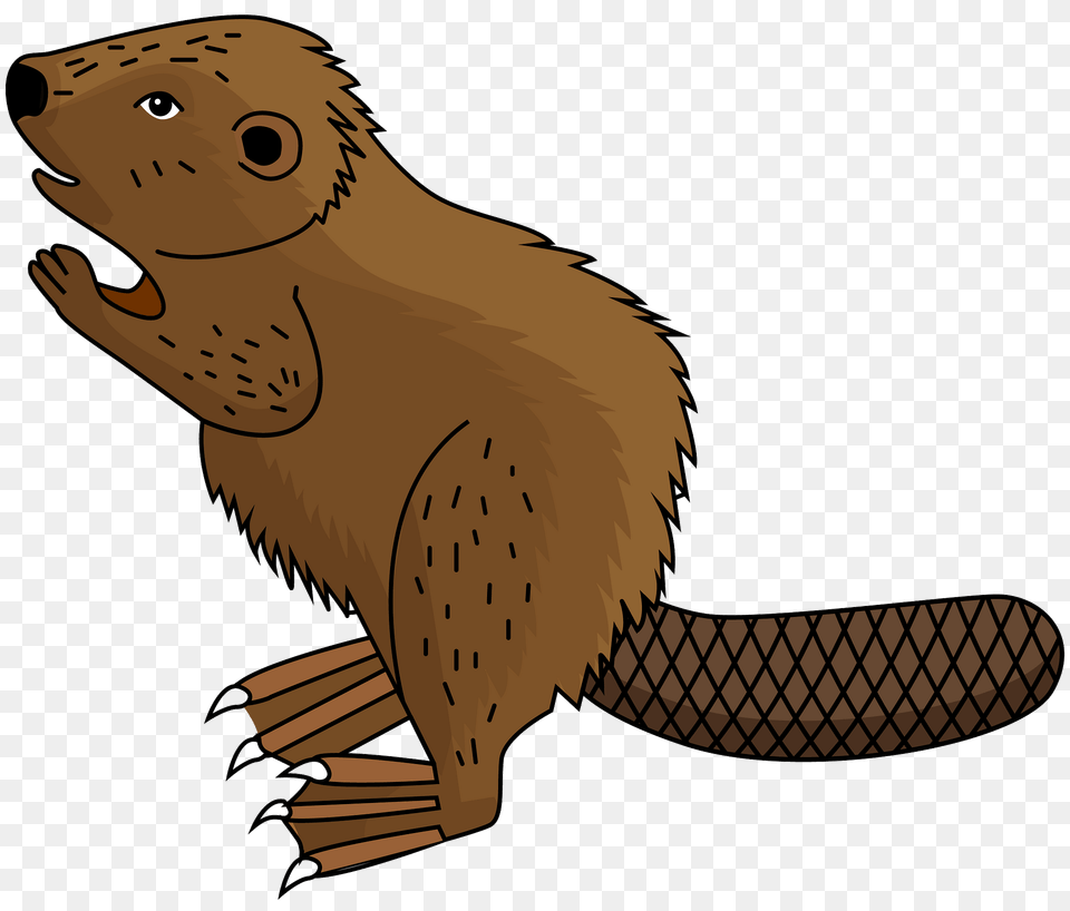 Beaver Clipart, Animal, Mammal, Rodent, Wildlife Free Png