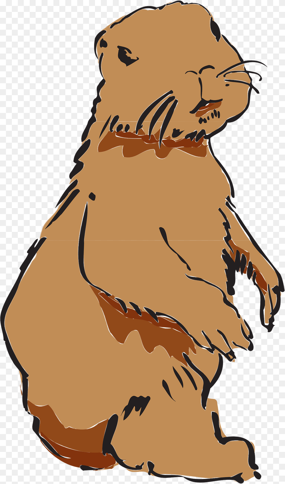 Beaver Clipart, Animal, Mammal, Person, Wildlife Free Png