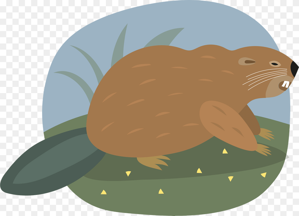 Beaver Clipart, Animal, Mammal, Rodent, Wildlife Png