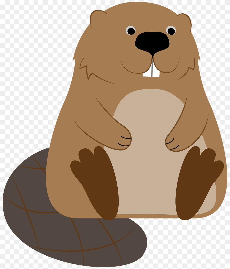 Beaver Clipart, Animal, Bear, Mammal, Wildlife Free Png Download
