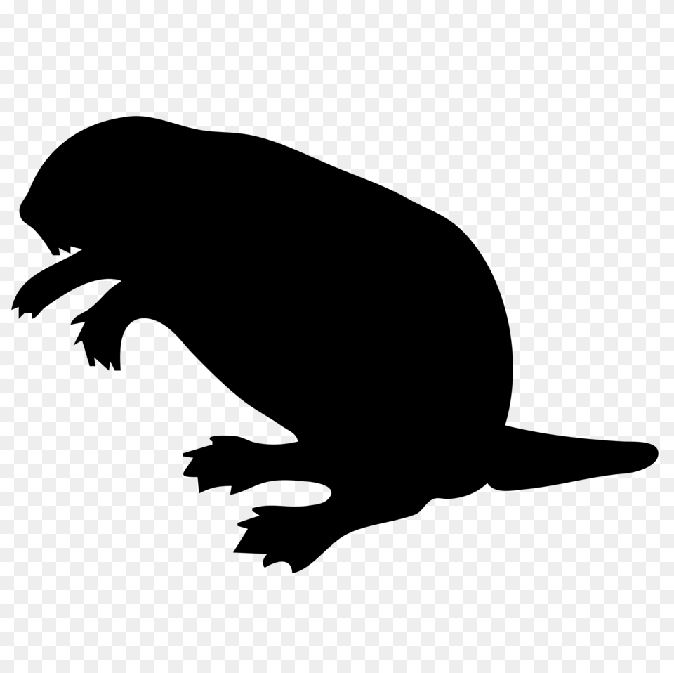 Beaver Clipart Transparent Background, Gray Free Png Download