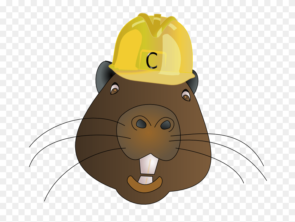 Beaver Cliparts, Clothing, Hardhat, Helmet, Animal Png