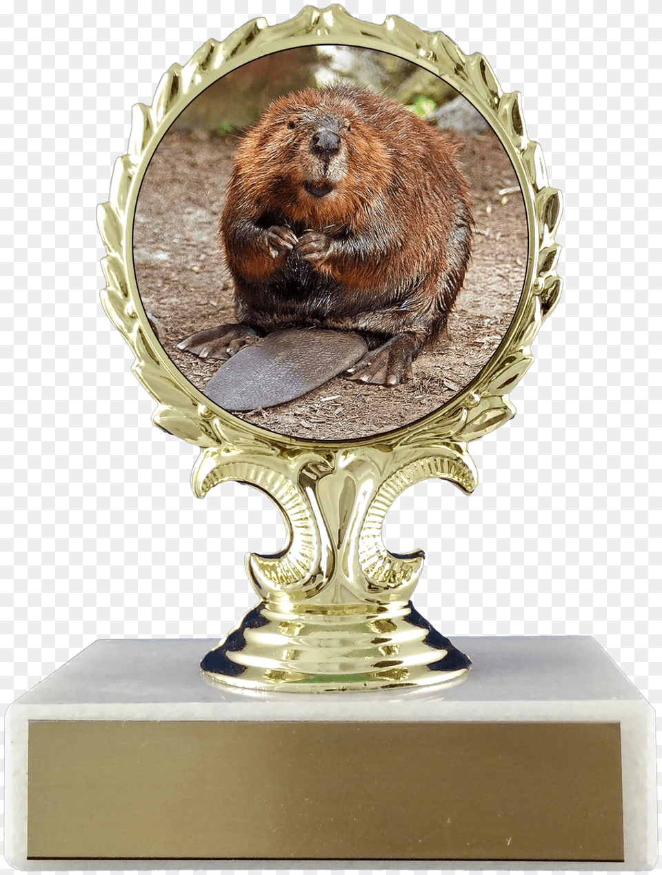 Beaver Logo Trophy On Flat White Marble Trophy Schoppy Animaux Typique Du Canada, Animal, Mammal, Rodent, Rat Free Png