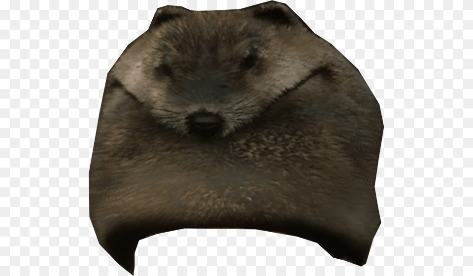 Beaver Mountain Hat Min Cushion, Animal, Bear, Mammal, Wildlife Png Image
