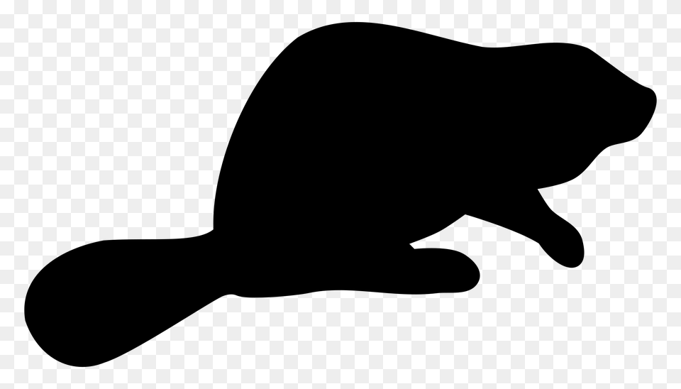 Beaver Silhouette, Gray Free Png Download
