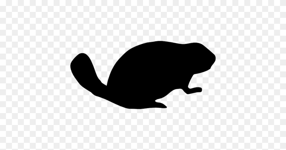 Beaver Transparent Pictures Photos Arts, Silhouette, Animal, Mammal, Rodent Free Png