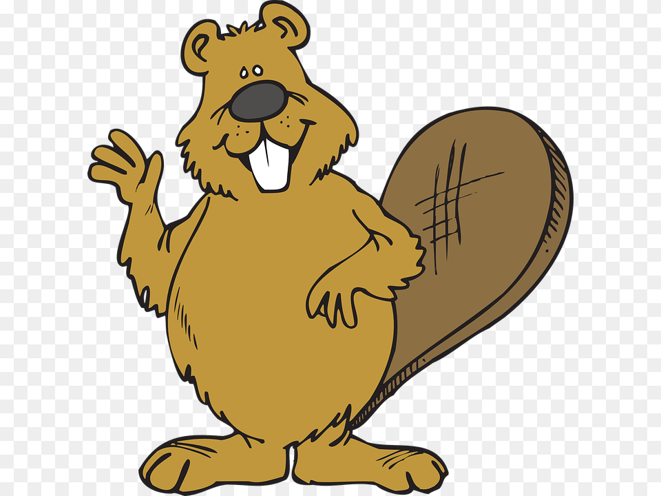 Beaver Whiskey Wjjk Fm, Animal, Baby, Mammal, Person Png