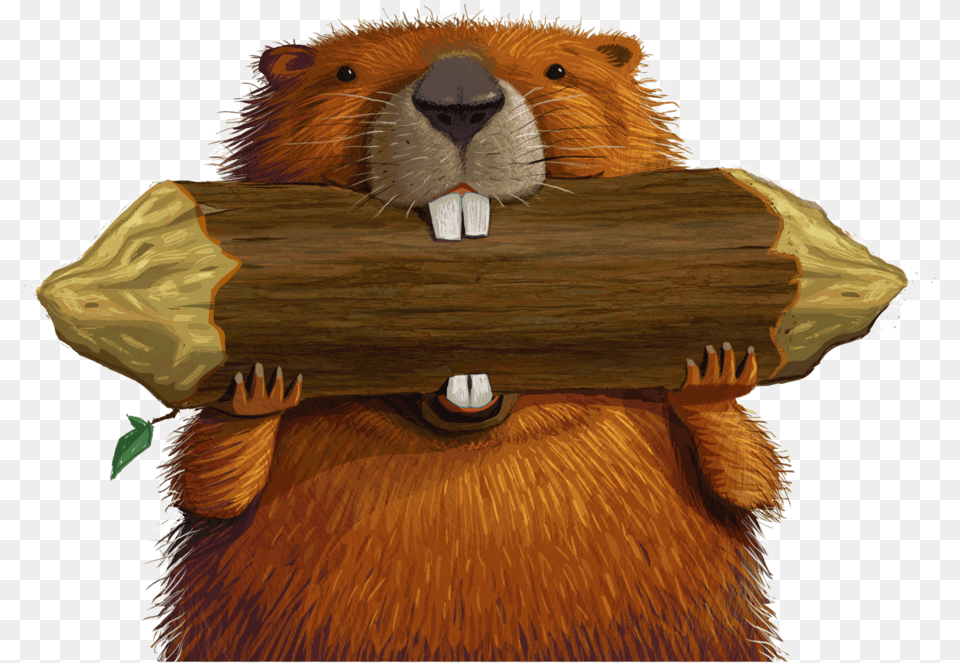 Beaver Wild Vbs Animals, Animal, Mammal, Rodent, Wildlife Free Png Download