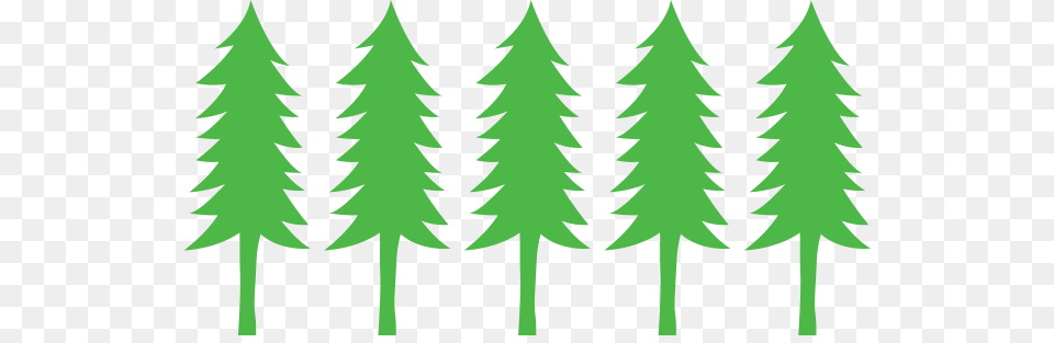 Beaverton Holiday U Cut Christmas Tree Farm Beaverton Holiday U, Green, Plant, Fir, Leaf Free Transparent Png