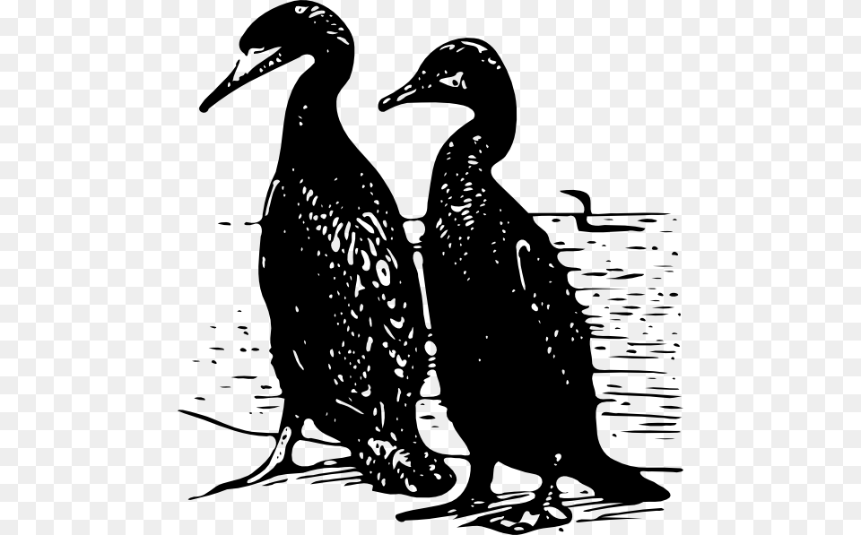 Bebek Siluet, Animal, Bird, Cormorant, Waterfowl Free Transparent Png