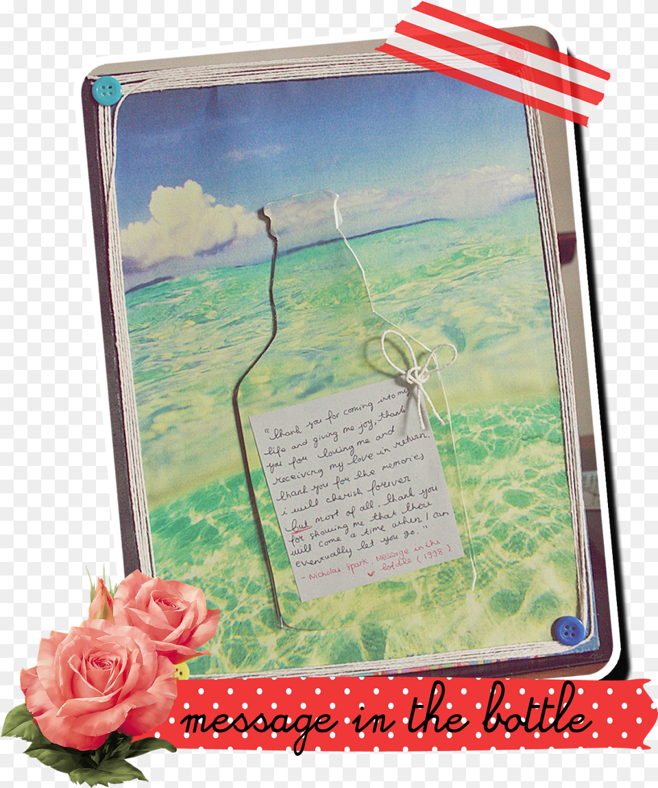 Beberapa Gambar Tentang Message In The Bottle Yang Message In A Bottle Scrapbook, Envelope, Flower, Greeting Card, Mail Png Image