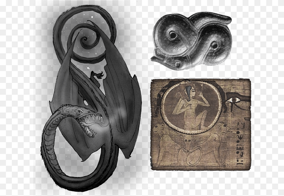 Because Of The Spiraling Nature Of The Constellation Carving, Reptile, Animal, Turtle, Person Png Image