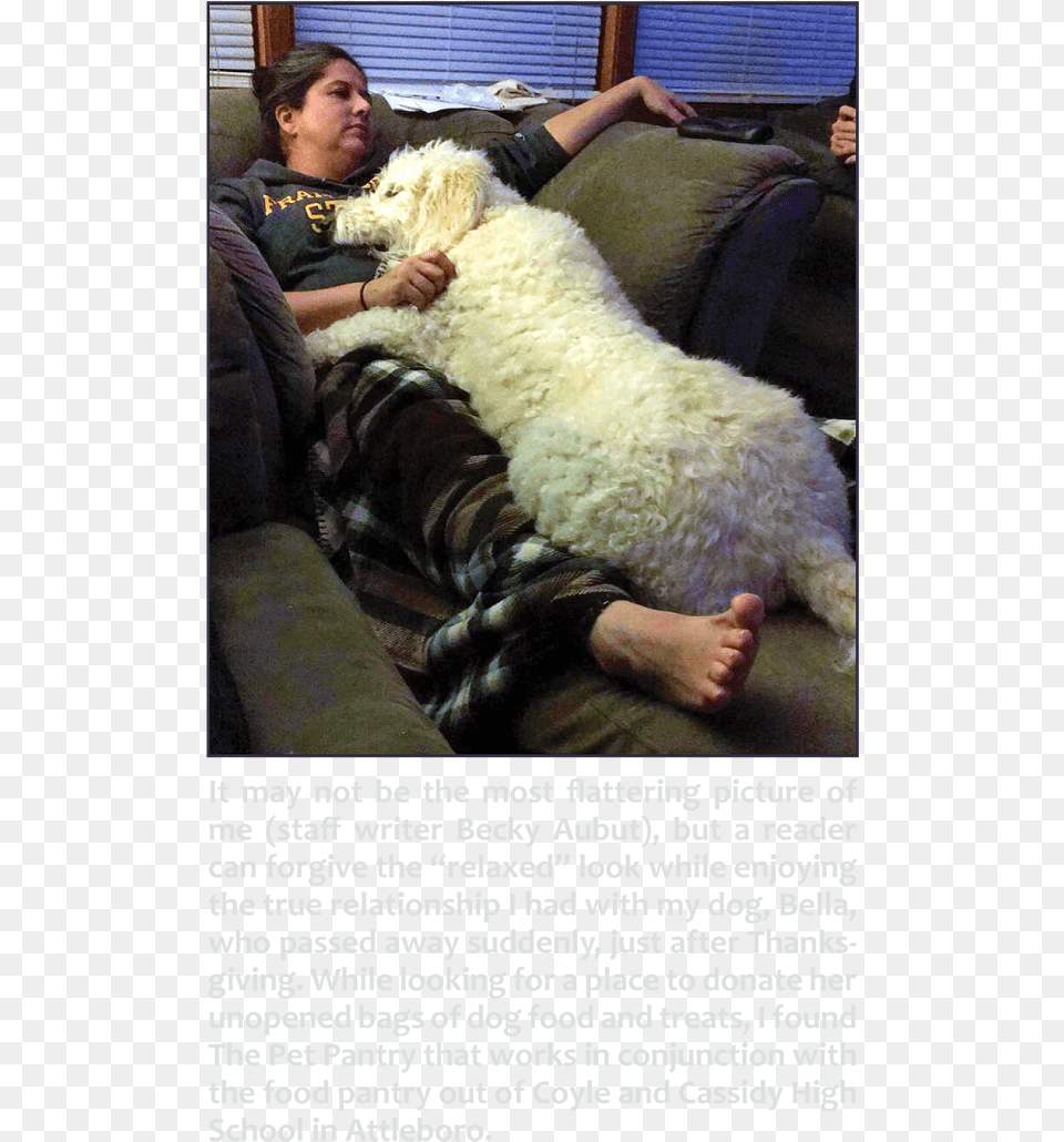 Becky Bella Sheep, Sleeping, Person, Home Decor, Furniture Free Png Download