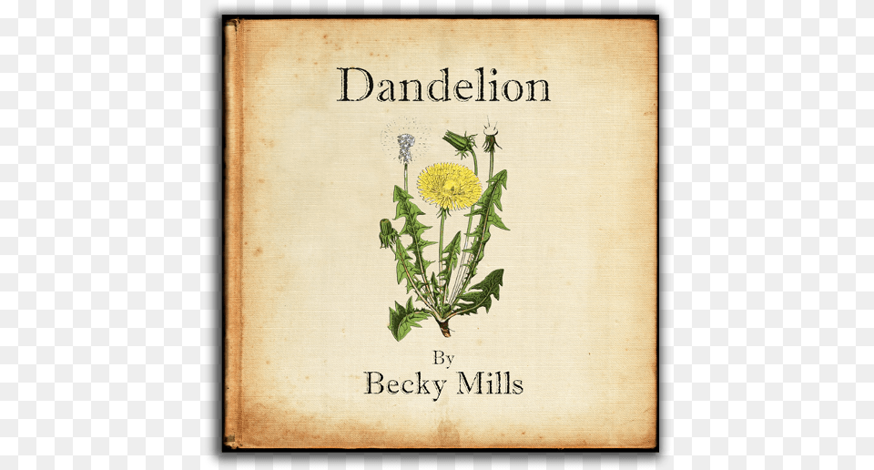 Becky Mills Dandelion Uk Cd, Book, Flower, Plant, Publication Png Image