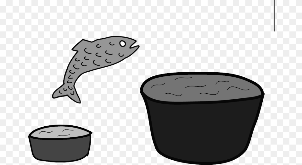 Becoming A Small Fish In A Large Collegiate Pond Cartoon, Animal, Sea Life, Shark Png Image