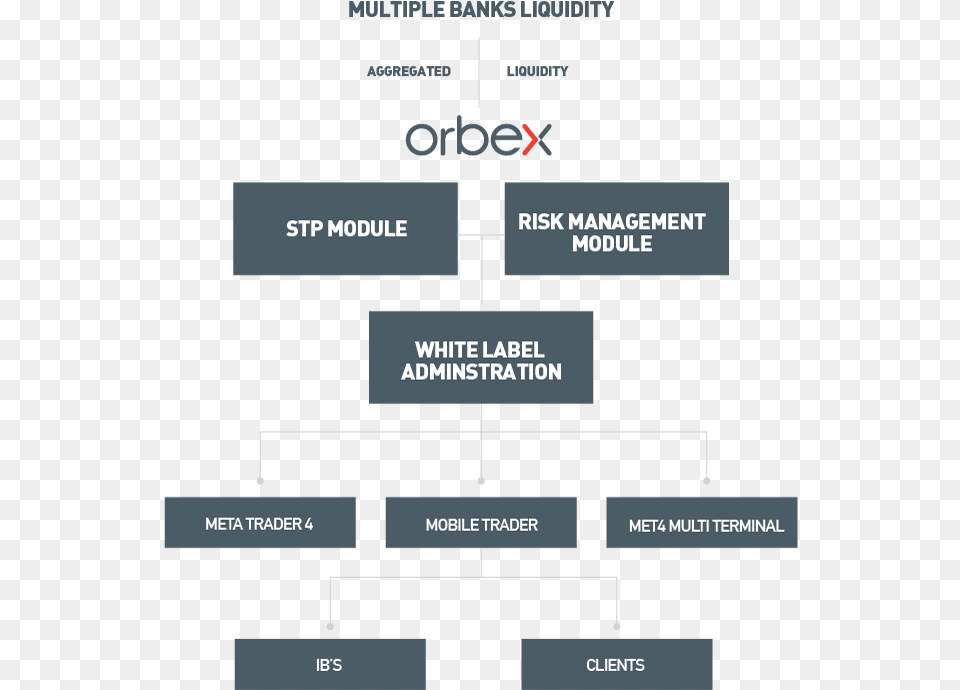 Becoming A White Label Partner With Orbex Ltd Provides Forex White Label Affiliate, Diagram, Uml Diagram Free Transparent Png