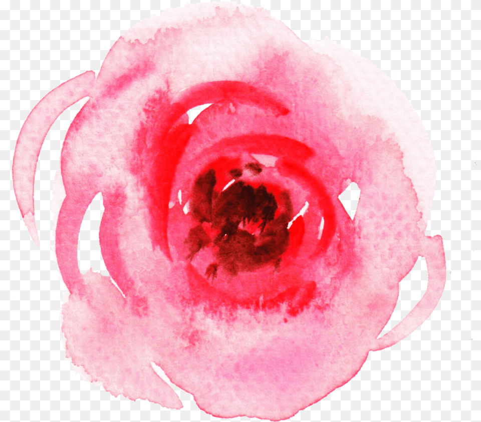 Bed Bath And Beyond Registry Watercolor Paint, Flower, Plant, Rose, Accessories Free Transparent Png
