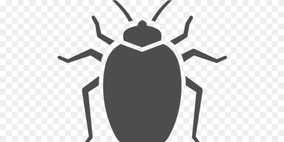 Bed Bug, Animal, Person Png