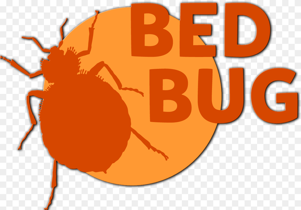 Bed Bug Bed Bug, Person, Animal Free Transparent Png