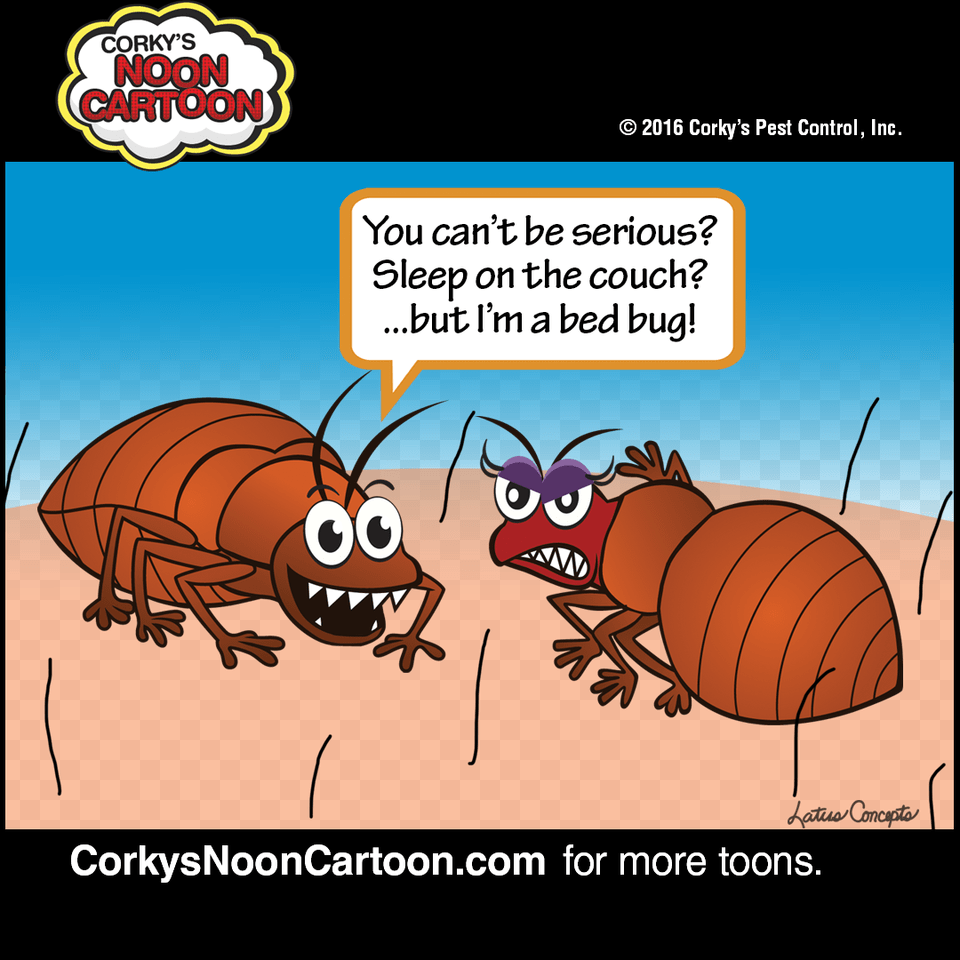 Bed Bug Funny Cartoon, Animal Png Image