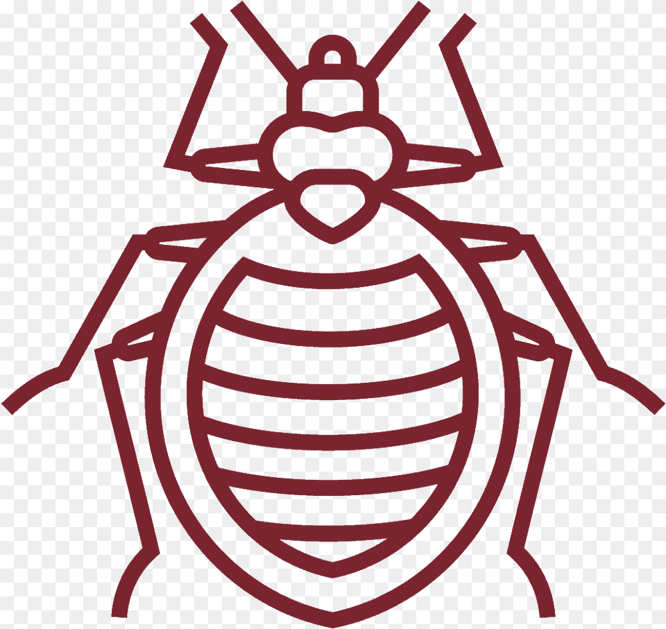 Bed Bug White Outline, Animal, Dynamite, Weapon, Cockroach Free Png Download