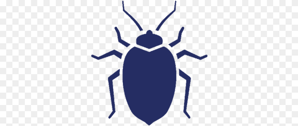 Bed Bugs Uspest Bed Bugs Black Symbol, Person, Animal Free Transparent Png