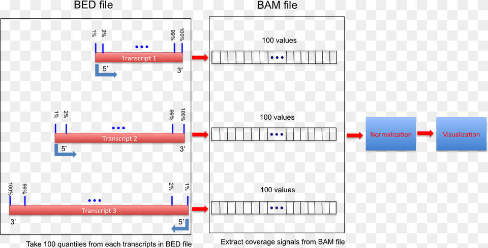 Bed File Plot Png Image