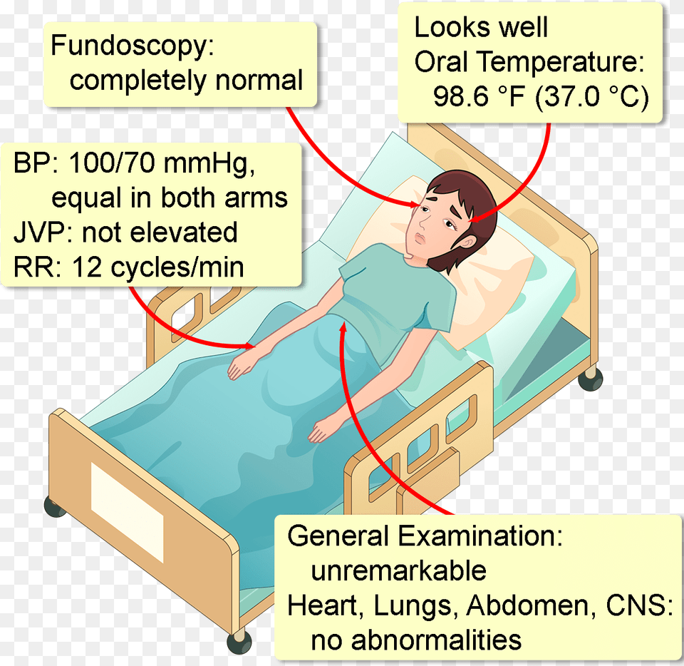Bed Frame, Architecture, Building, Hospital, Adult Png Image