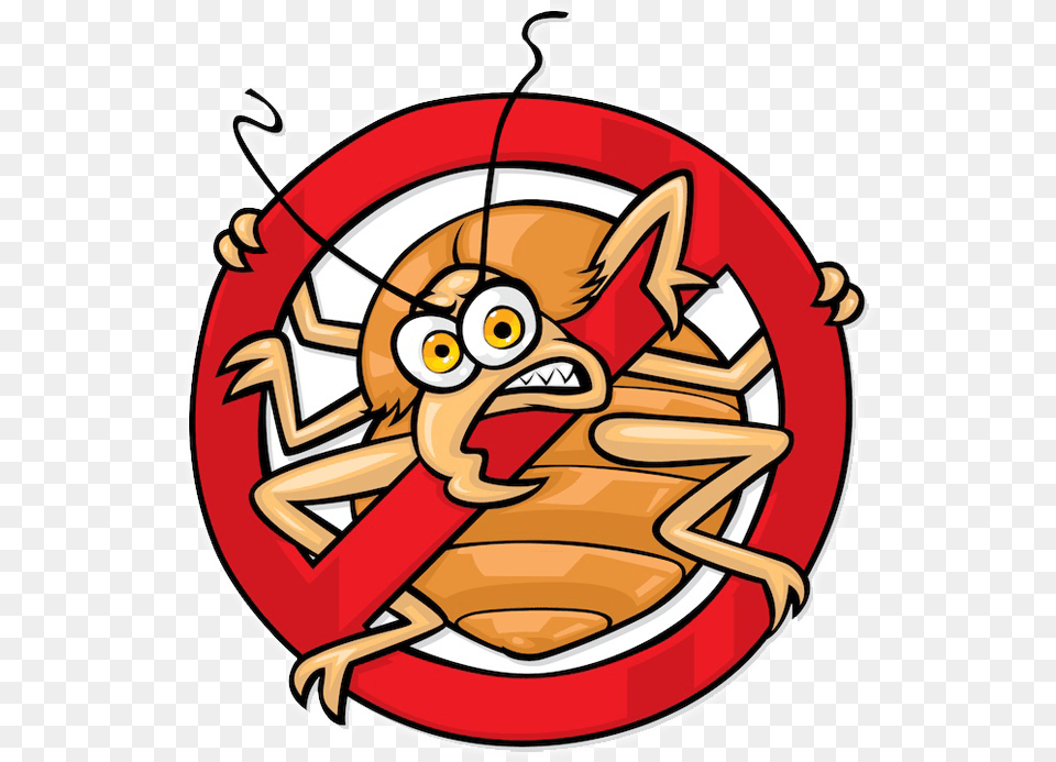 Bedbug Free Transparent Png