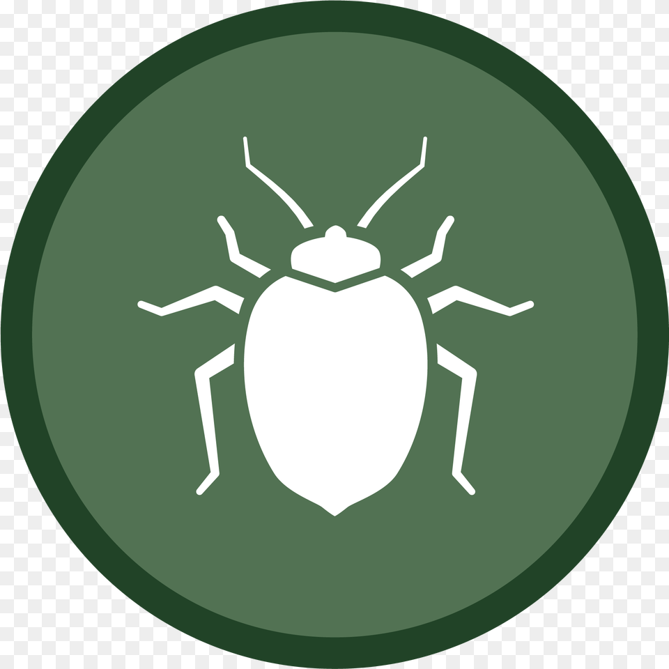 Bedbug Icon 02 Health Dangers, Animal, Disk Free Transparent Png