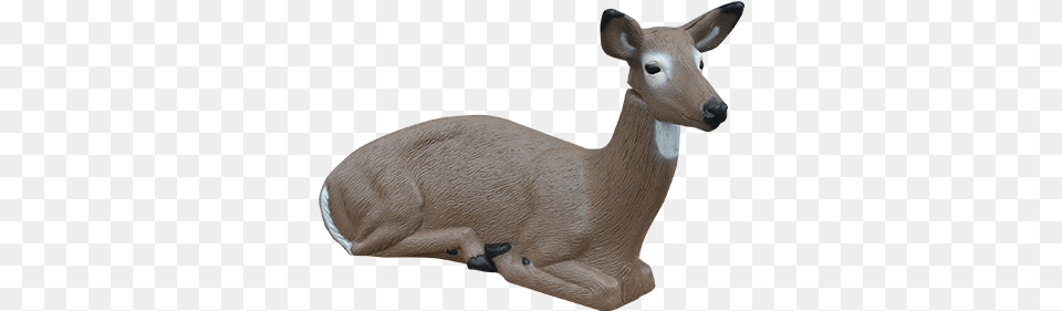 Bedded Antelope Rinehart Bedded Doe Decoy, Animal, Deer, Mammal, Wildlife Png Image