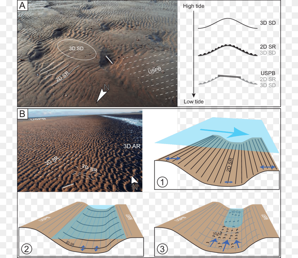 Bedform Succession Observed Close To The Shoreline, Nature, Outdoors, Sea, Water Png Image