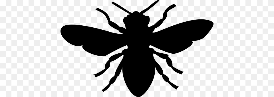 Bee Gray Free Png