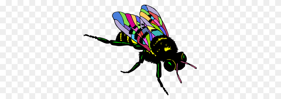 Bee Animal, Insect, Invertebrate, Wasp Free Transparent Png
