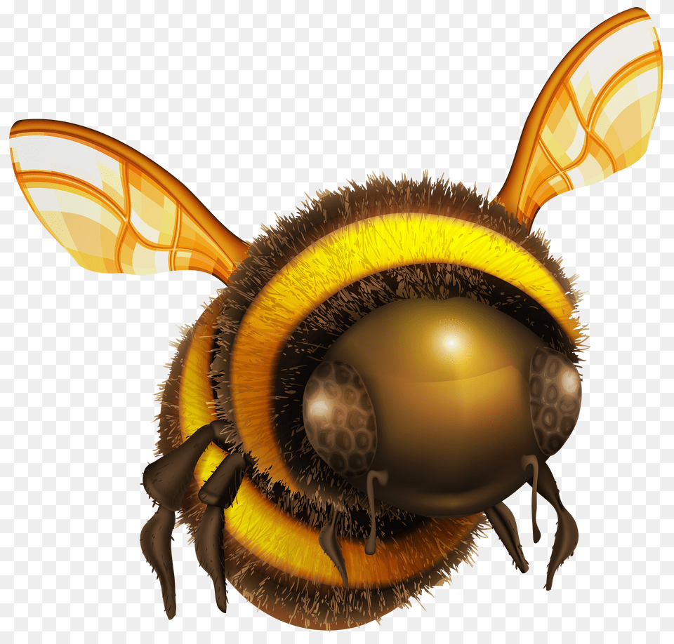 Bee, Animal, Apidae, Bumblebee, Insect Png