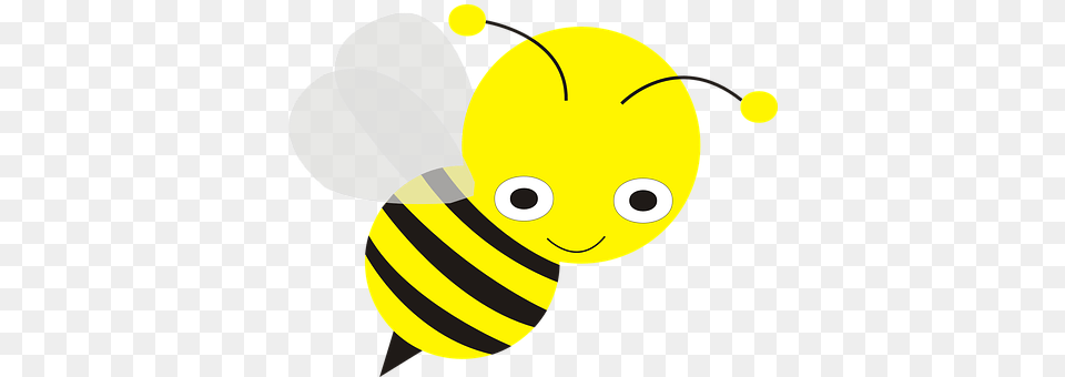 Bee Animal, Honey Bee, Insect, Invertebrate Free Png